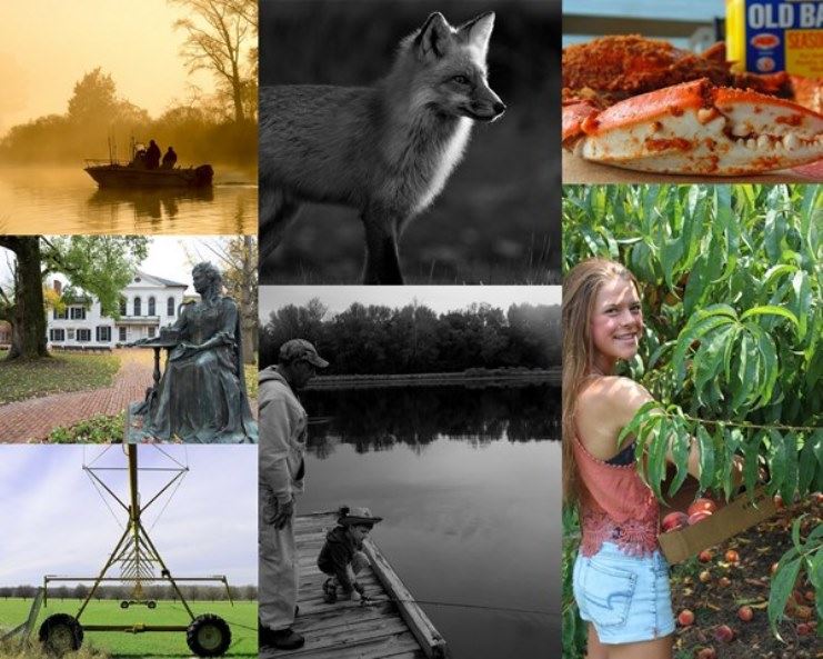 2016 Photo Contest Winners spotlight resized