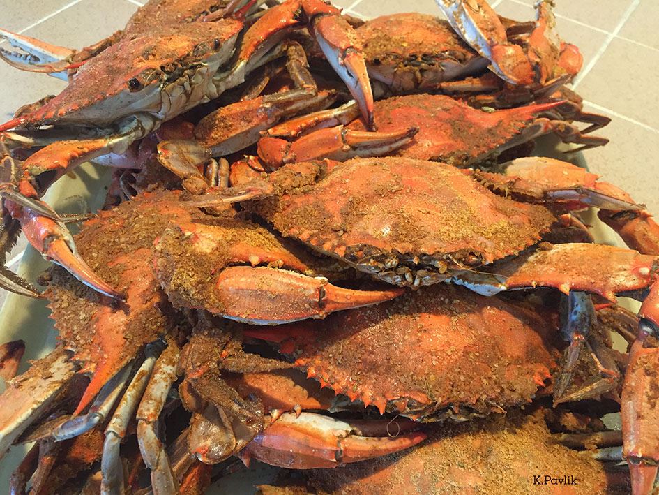 Karen Pavlik 3rd Cookedcrabs Spotlight