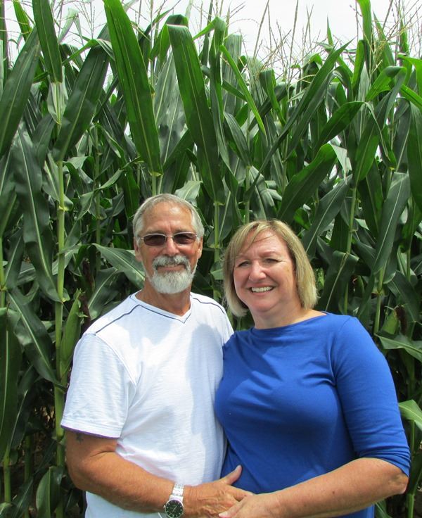 Higgs Family websize