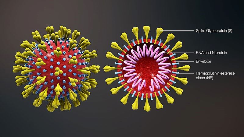 89039280_2918204758201969_4793164084788854784_n