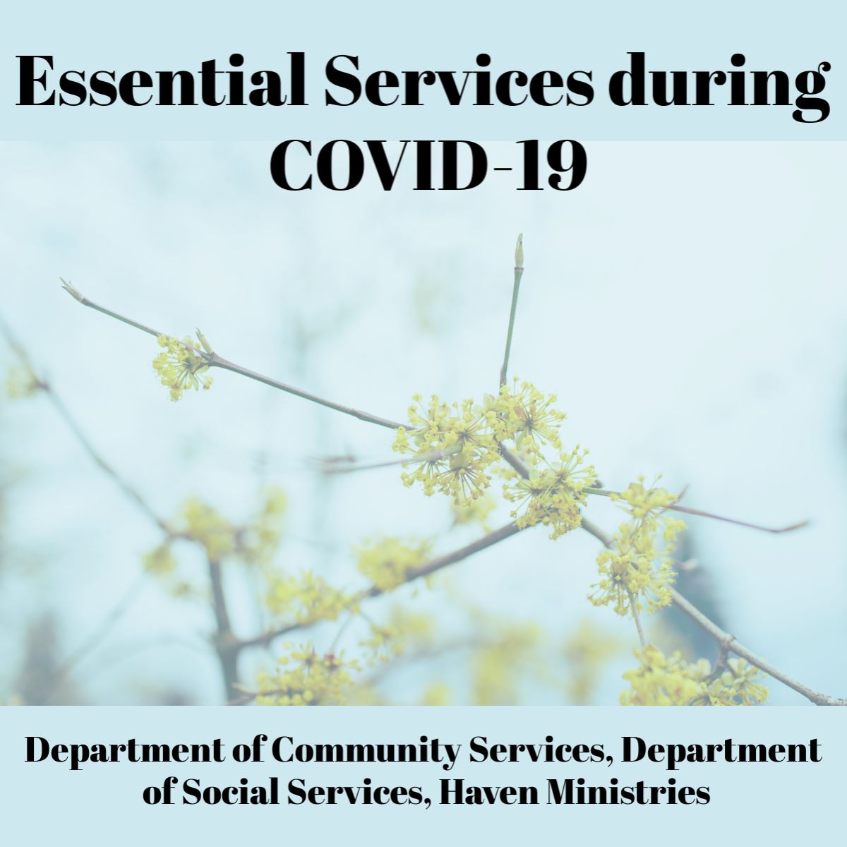 Essential Services Facebook Post