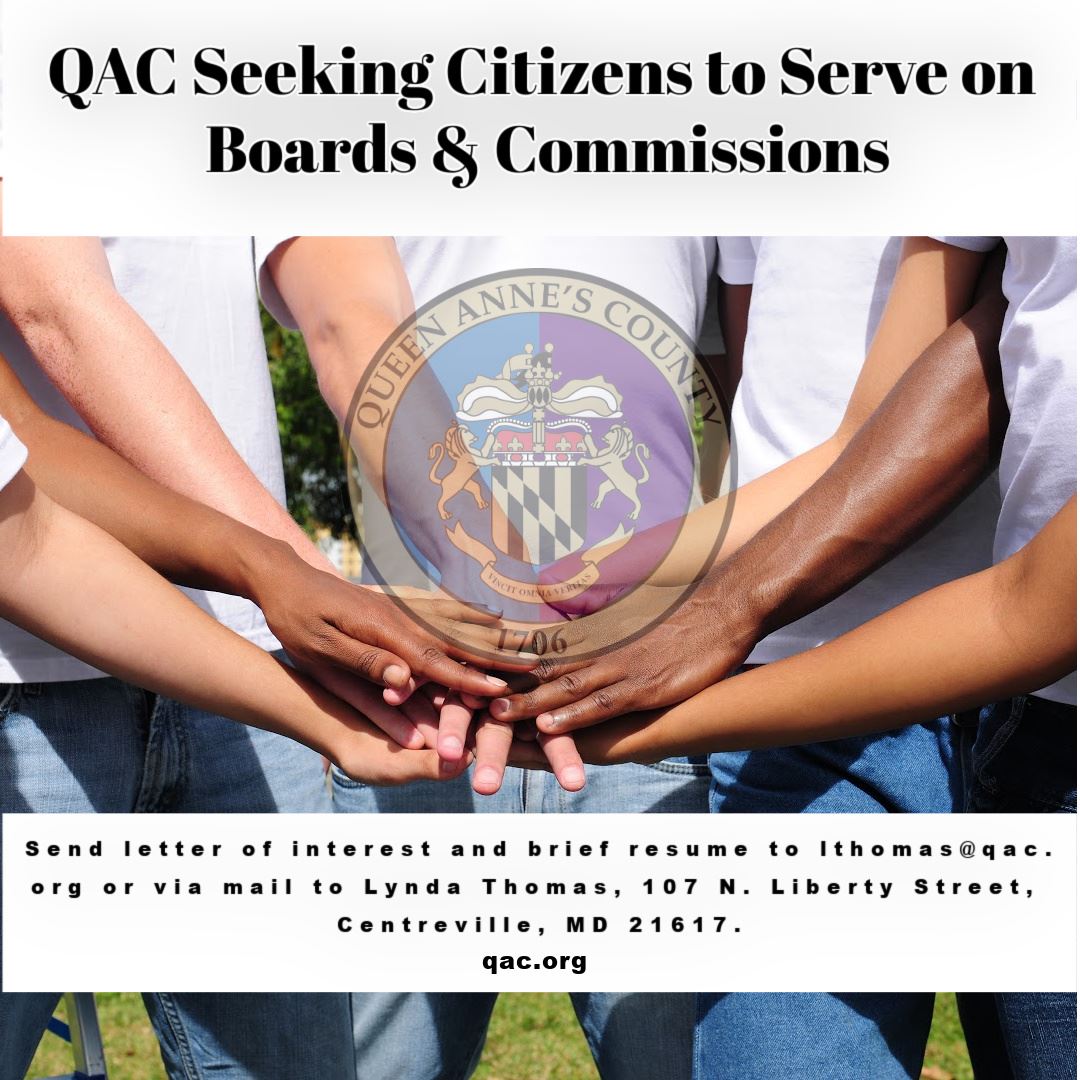 Boards and Commissions new