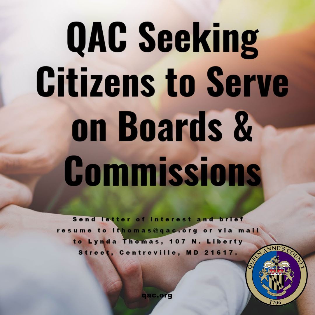 Boards and Commissions copy