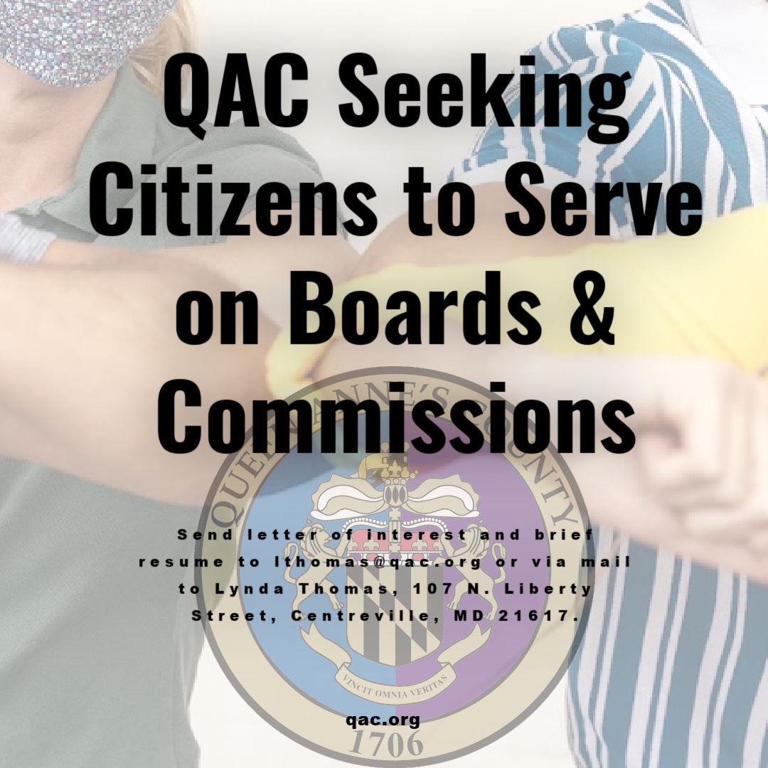 Boards and Commissions copy copy