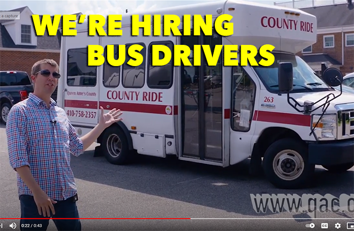 Bruce and the bus SMALLER