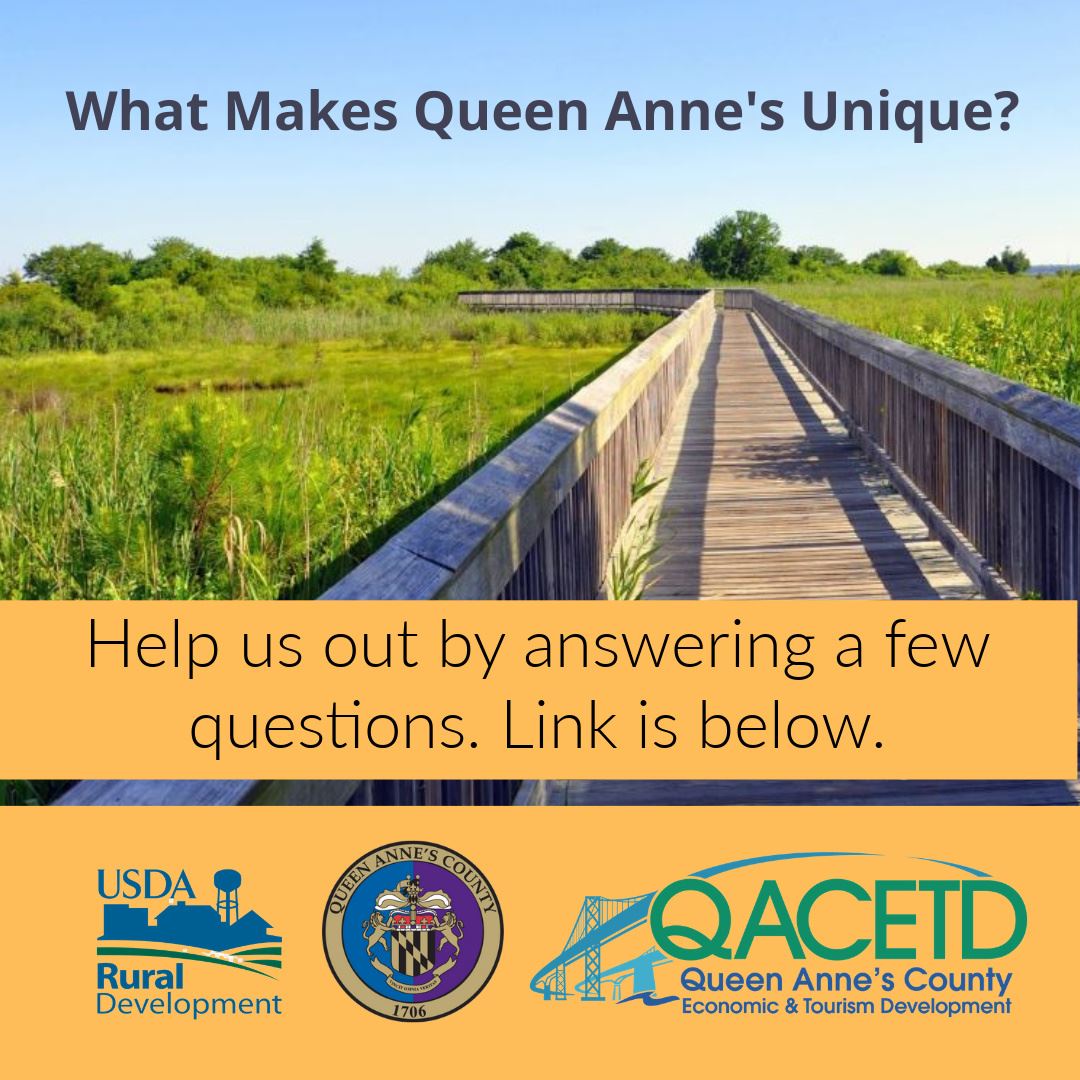 What Makes Queen Anne