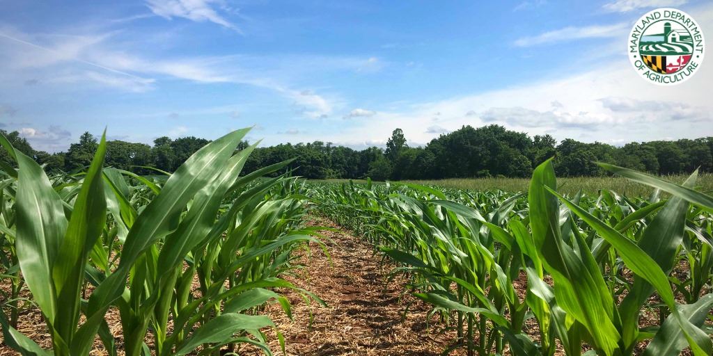 179125957_4311144975584616_155190881425758784_n