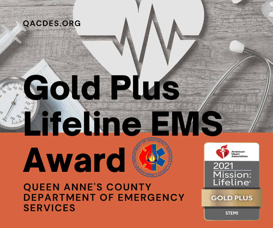 DES Wins Gold Plus Award