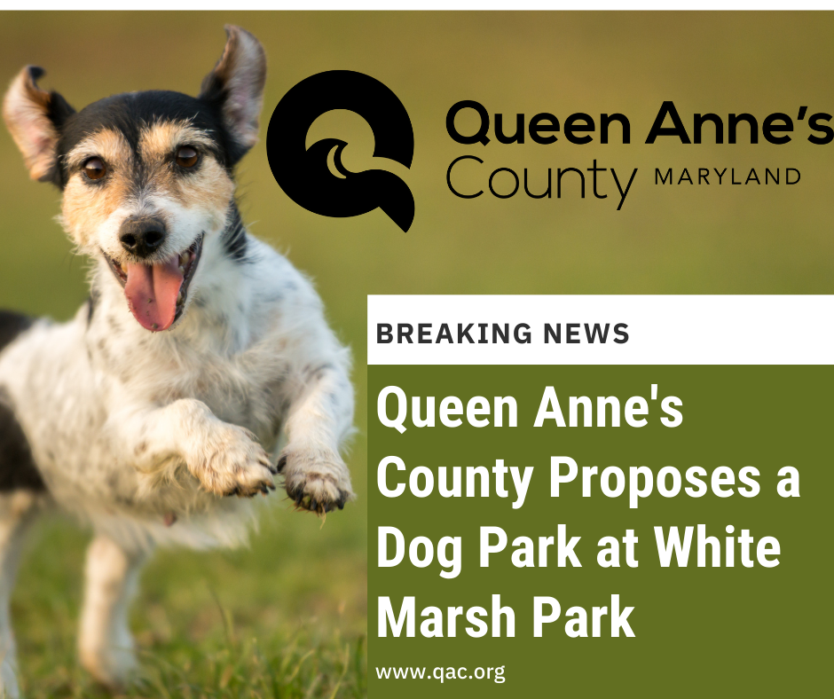 Queen Annes County Proposes a Dog Park at White Marsh Park