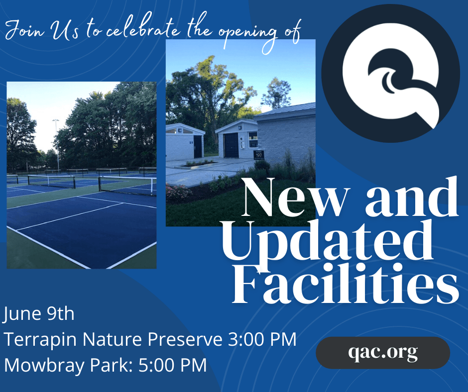 ribbon cuttings stevensville (1)