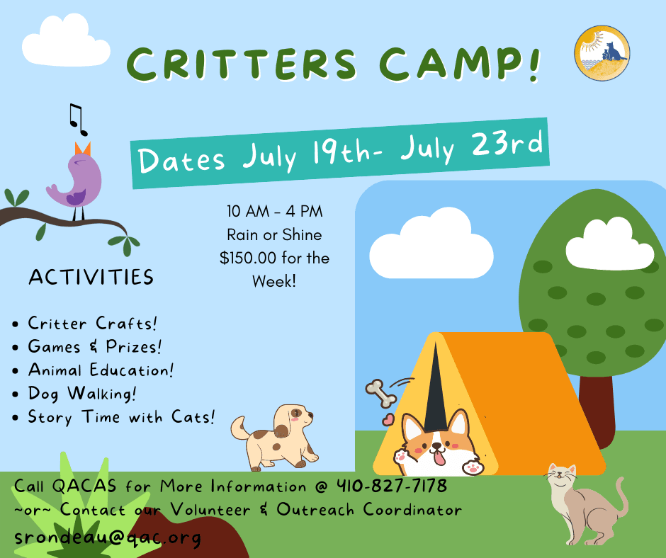 287175016_595727728731457_7401113666158089732_n