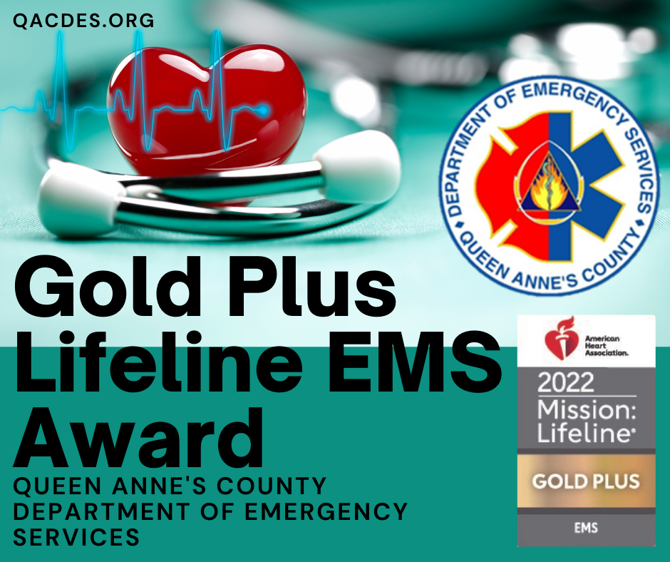 _DES Wins Gold Plus Award