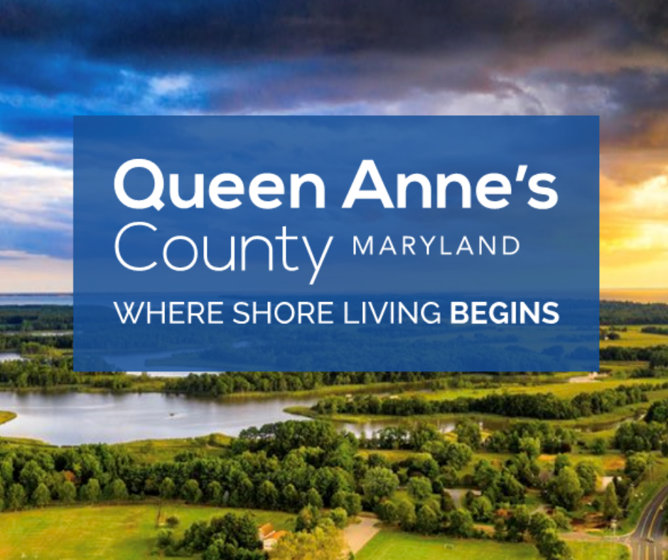 Untitled design (10)