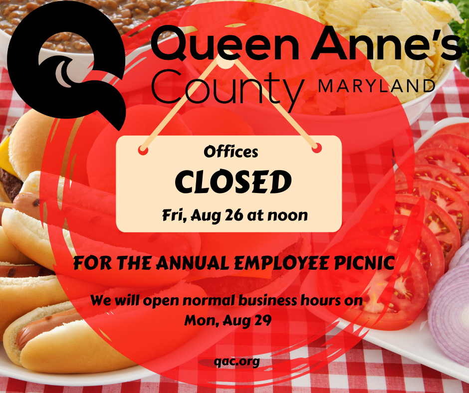 county picnic