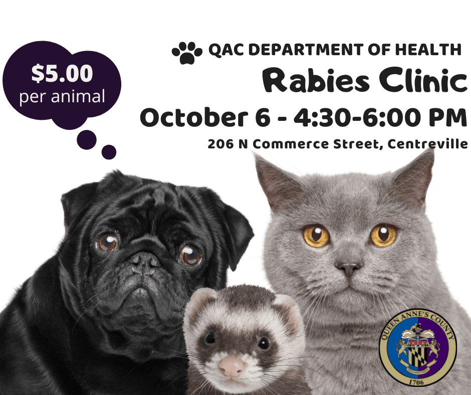 QAC Department of Health