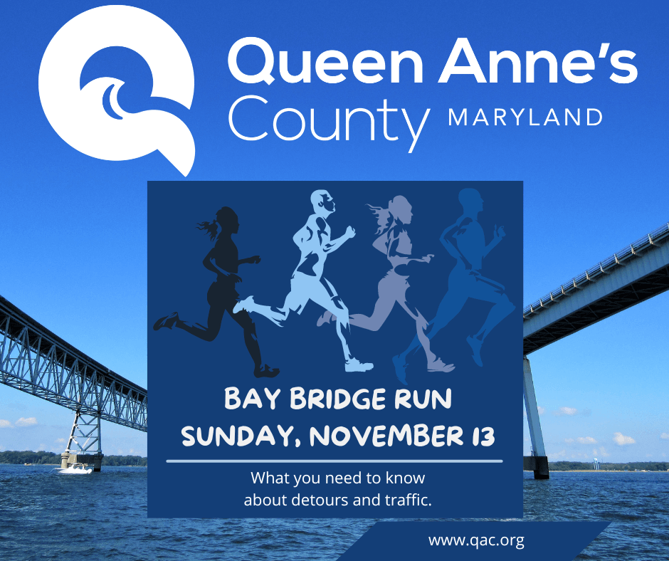bay bridge run sunday, November 13