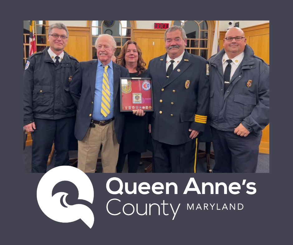 Untitled design (19)