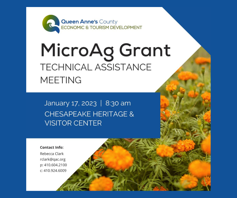 Untitled design (21)