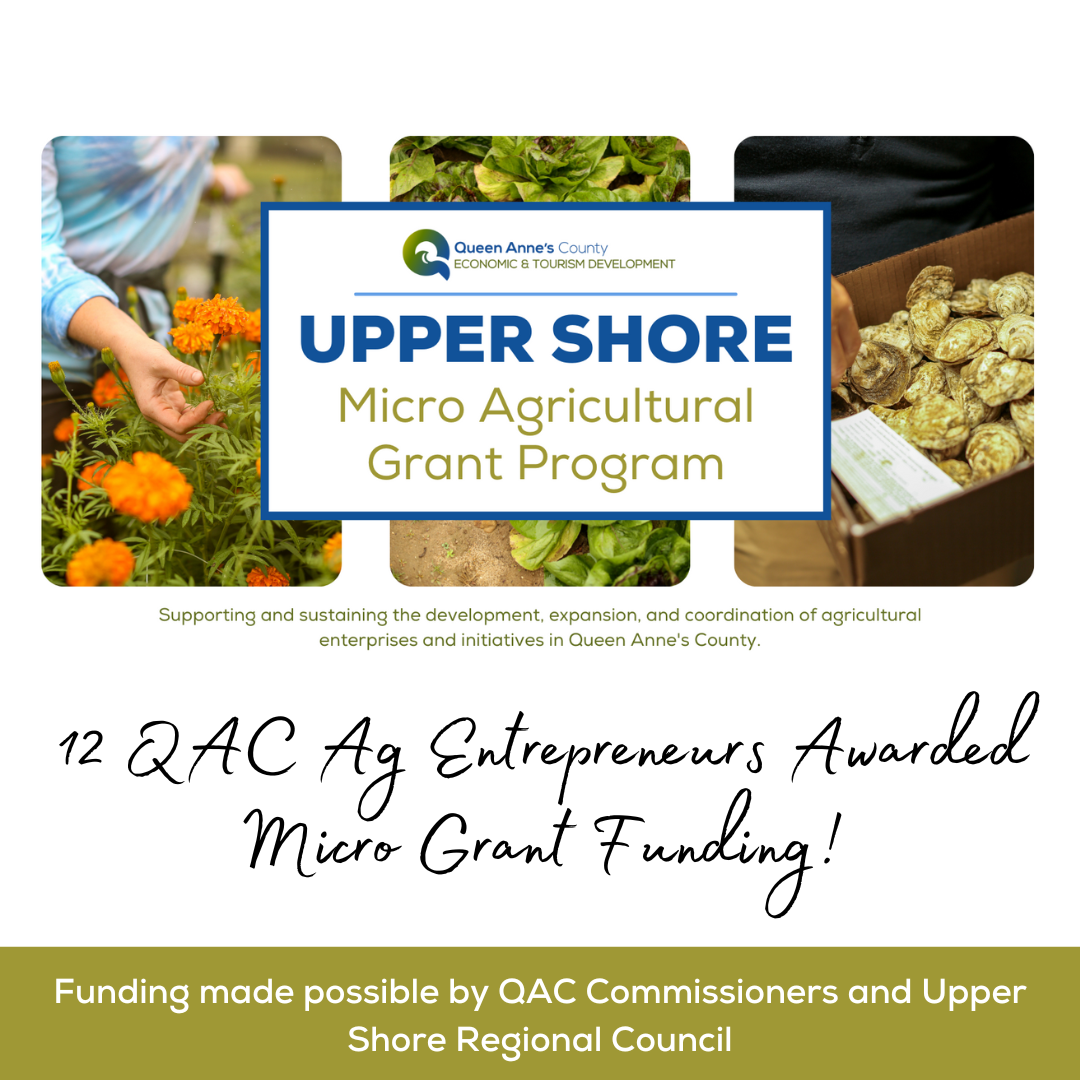 Copy of Accepting Applications