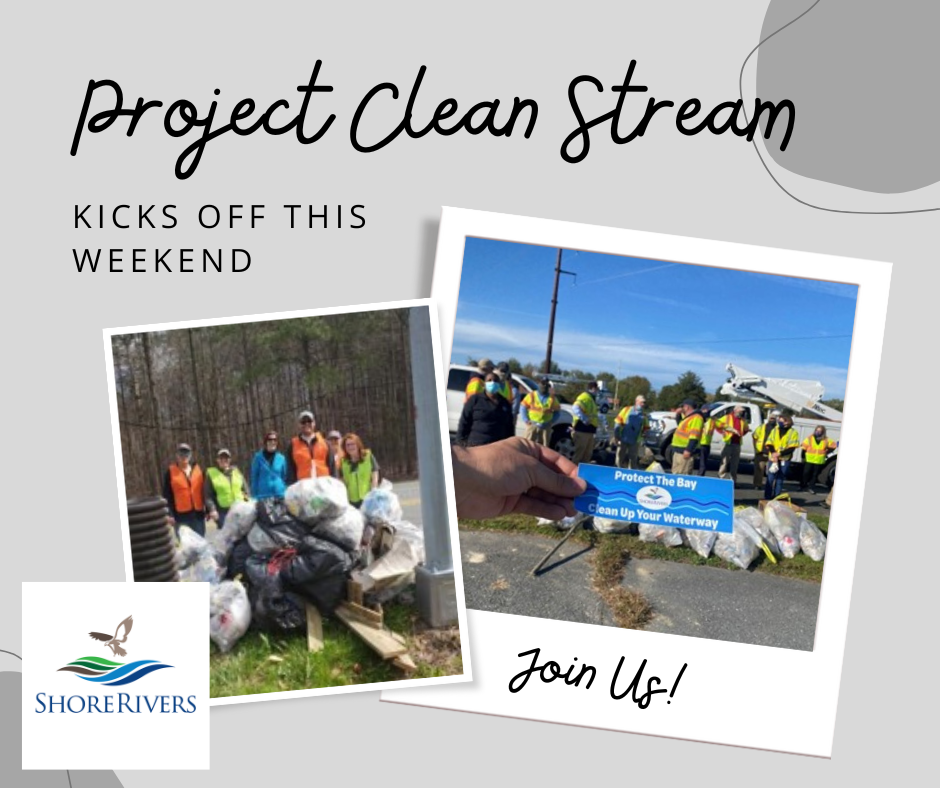 Project Clean Stream