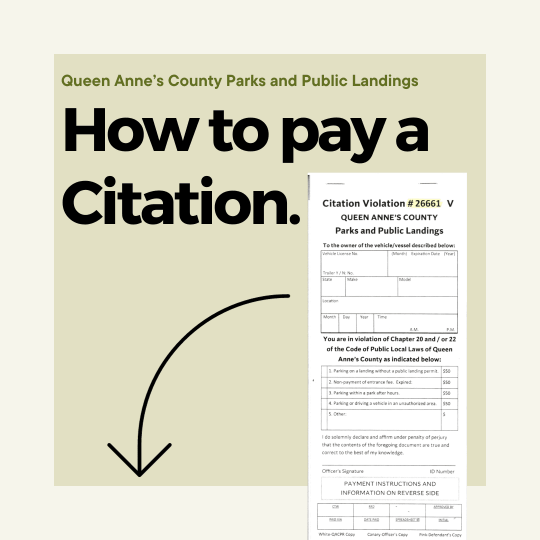 how to pay a citation