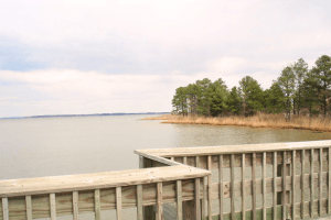 Cross Island Trail 6