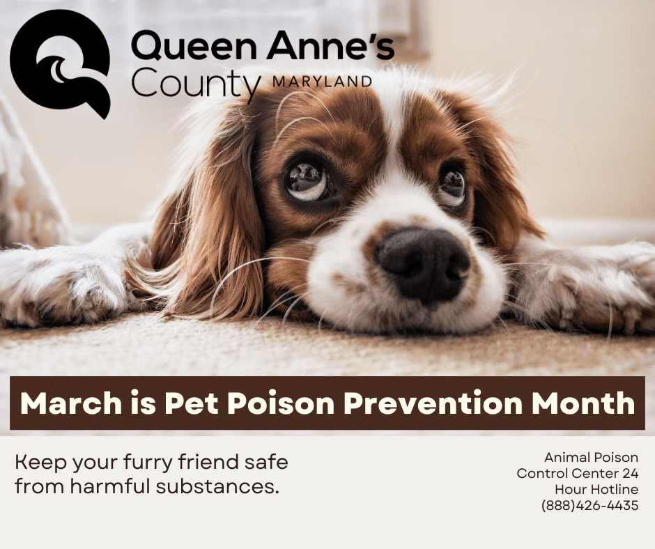 Animal Poison Control Center 24 Hour Hotline (888)426-4435
