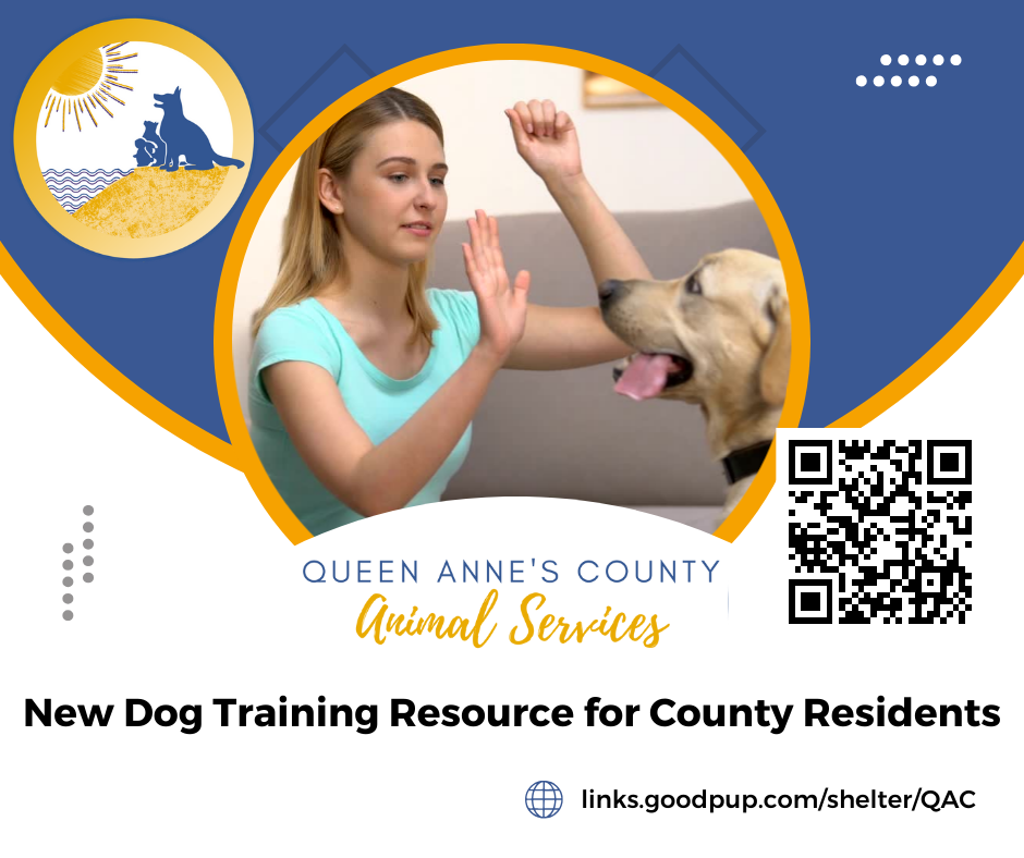 links.goodpup.comshelterQAC