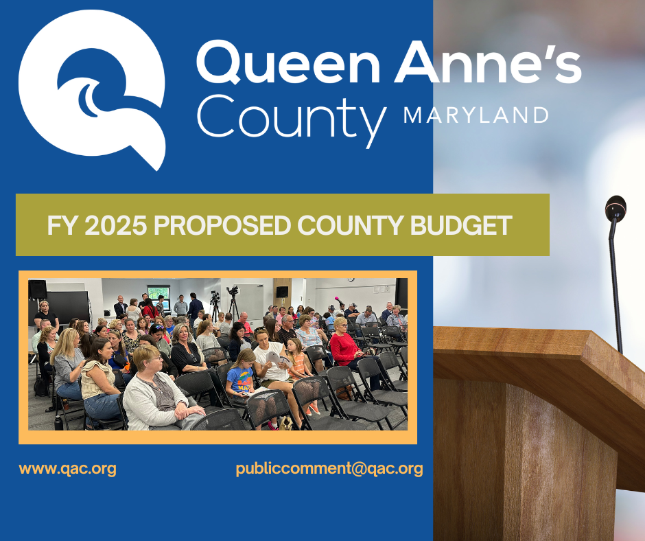 Copy of Budget Hearings