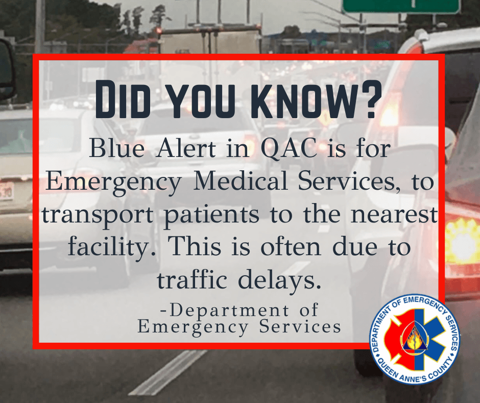 Blue and Pink Did You Know Facts Facebook Posts