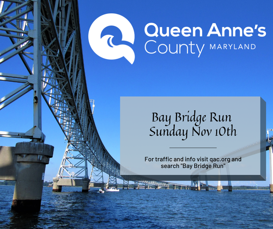 Copy of Bay Bridge Run Sunday Nov 12th (1)
