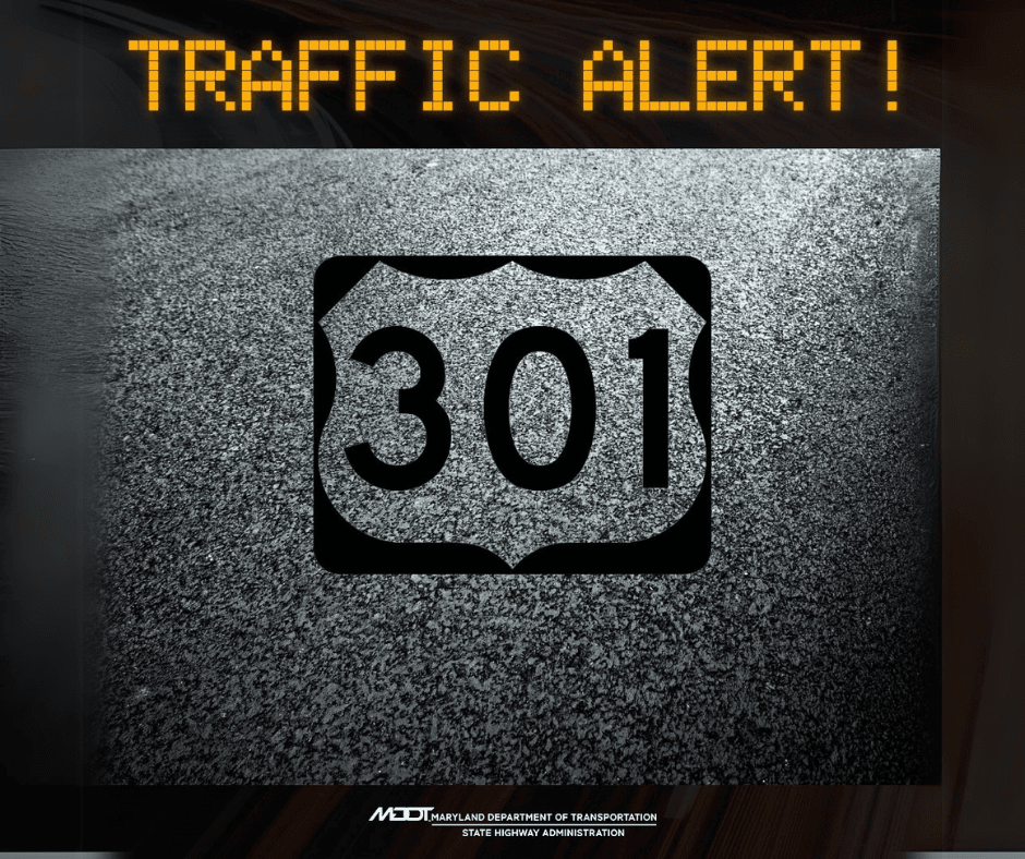 Untitled design (45)