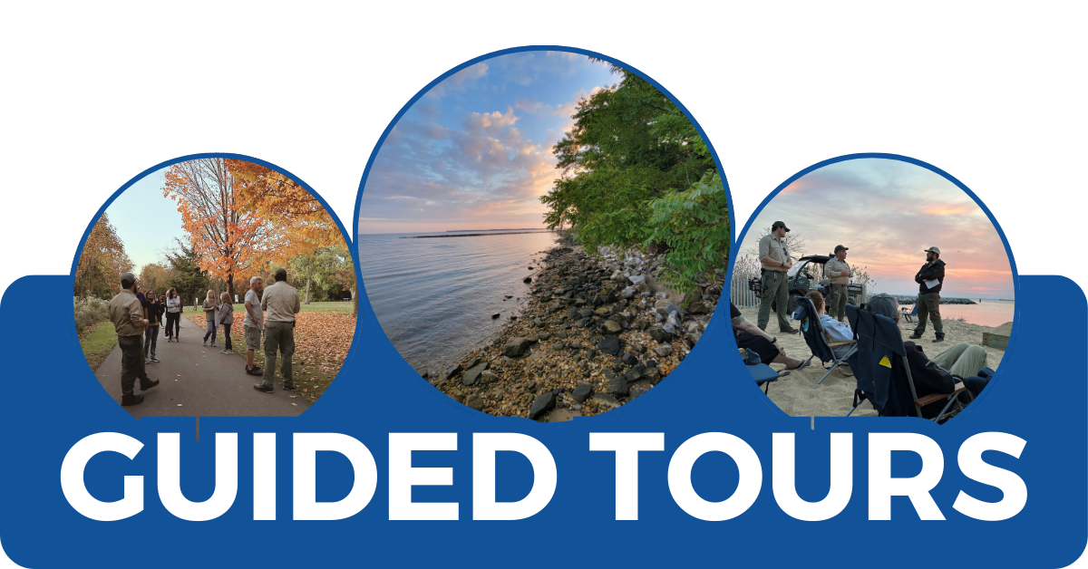 Guided Tours Banner