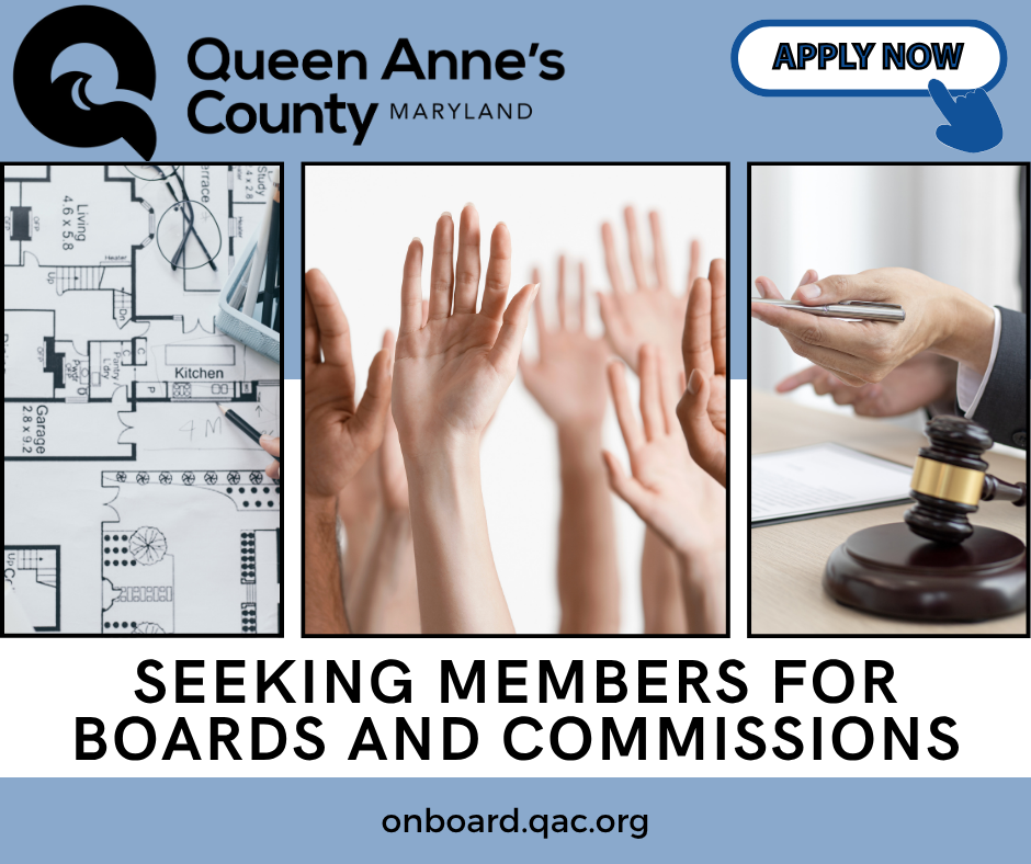 Untitled design (51)