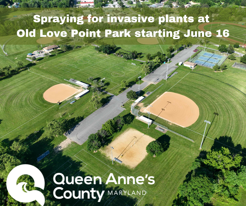 Copy of Spraying for invasive plants at White Marsh Park - May 16-23