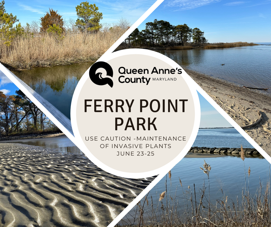 Ferry Point  (1)