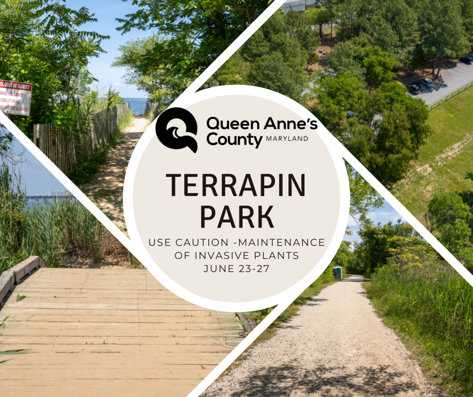 Terrapin Maintenance