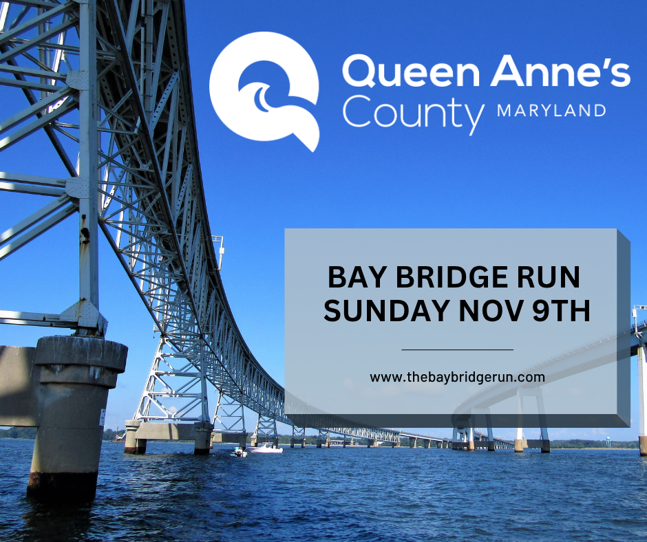 Copy of Bay Bridge Run Sunday Nov 12th (2)