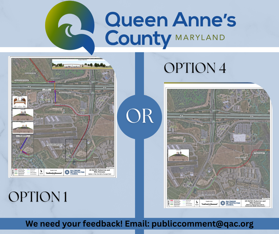 Ped Overpass Public Comment (3)