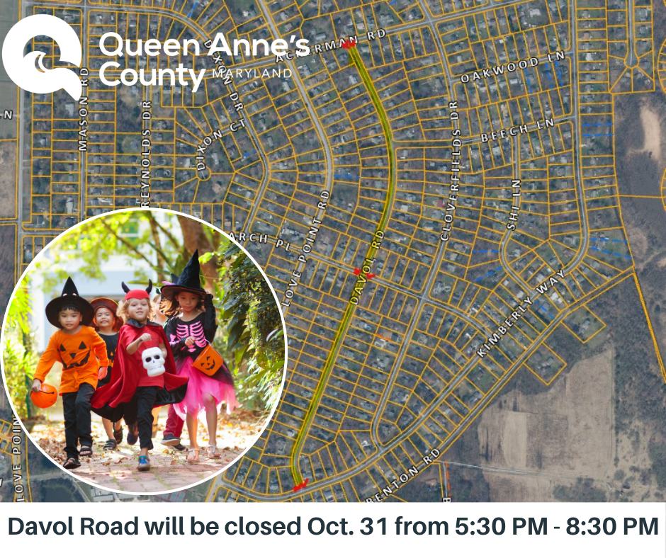 Copy of Copy of Roadwork on Del Rhodes Ave and Friels Road - Queenstown