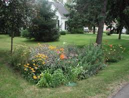 Rain garden