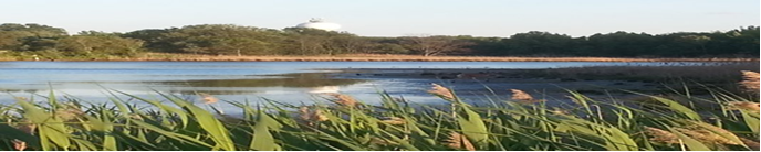 Chesapeake Bay Critical Area