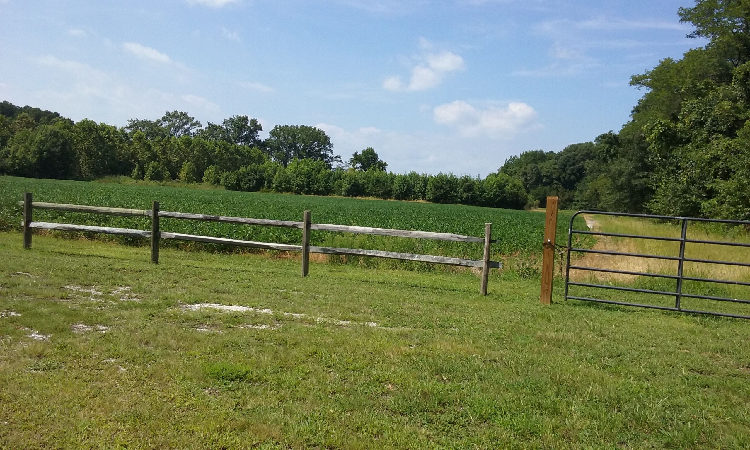 Equestrian Trail at Conquest Preserve