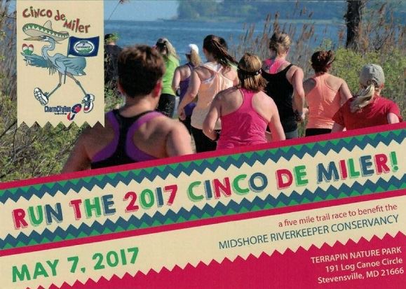 Cinco De Miller graphic