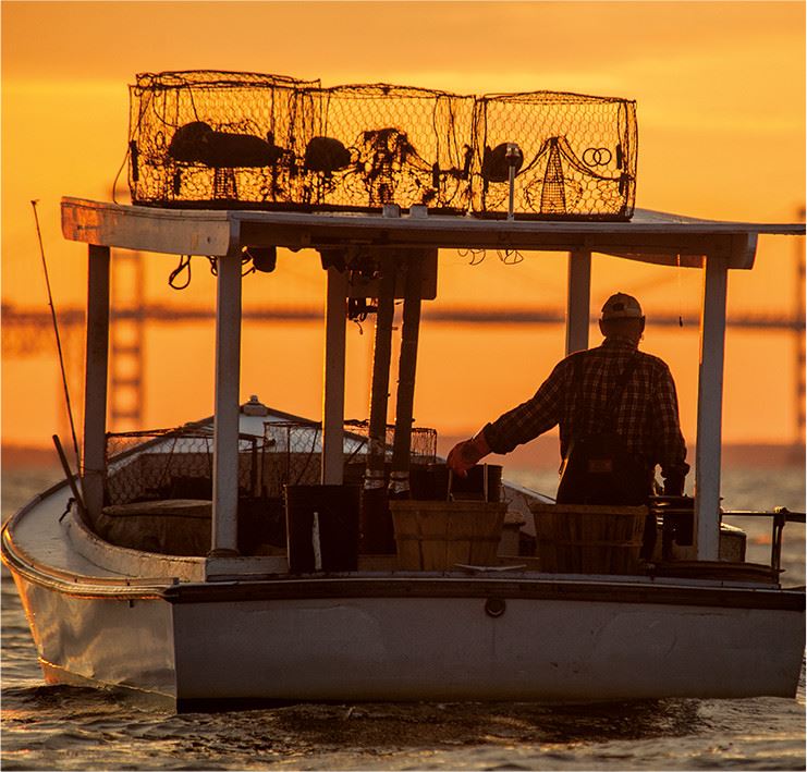 Man driving a boat while the sun is rising