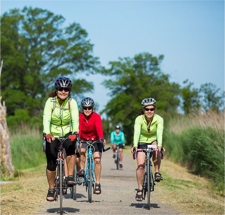Women riding bikes down a path