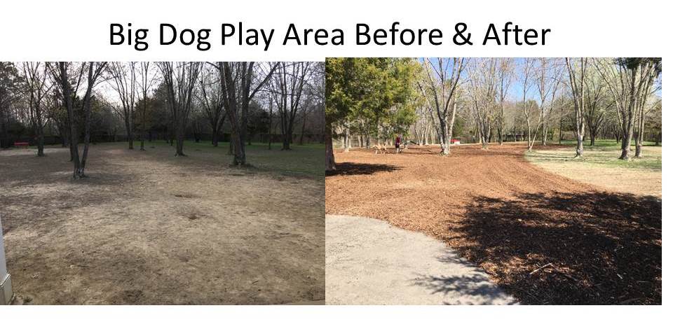 Before and After Big Dog Play Area