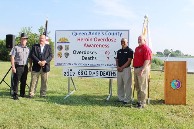 Hofmann, Moran, Rutherford, Arentz Websize