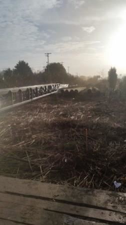 Resized 20190207_CCCT (10)