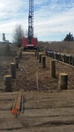 Resized 20190208_153506b